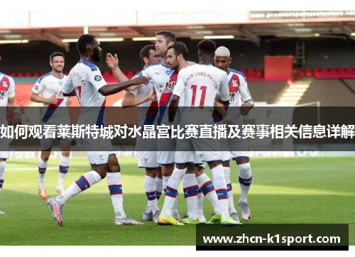 如何观看莱斯特城对水晶宫比赛直播及赛事相关信息详解